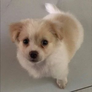 Meet your Posher, Quỳnh trâm